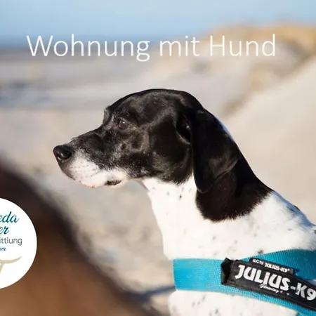 Adas Hues - 1 * Norddorf