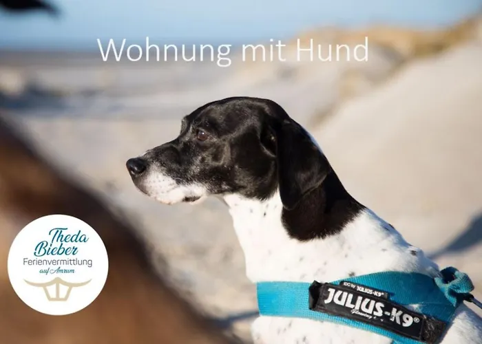 Adas Hues - 1 * Norddorf